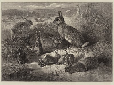 The Months, May by George Bouverie Goddard